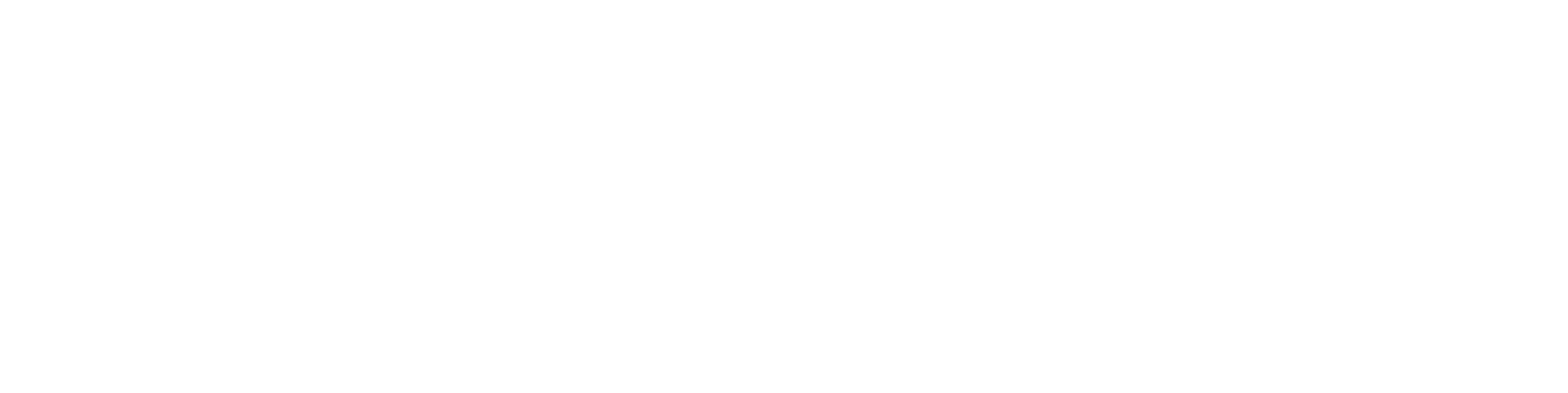 logo skudosek bianco